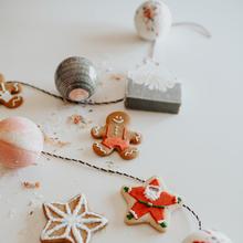 Holiday Spice Bath Bomb